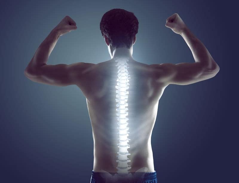 columna vertebral sana