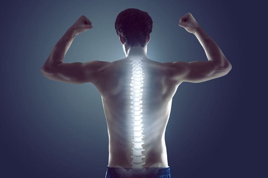 columna vertebral sana