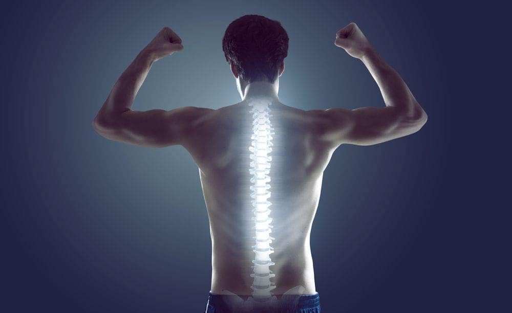 healthy spine