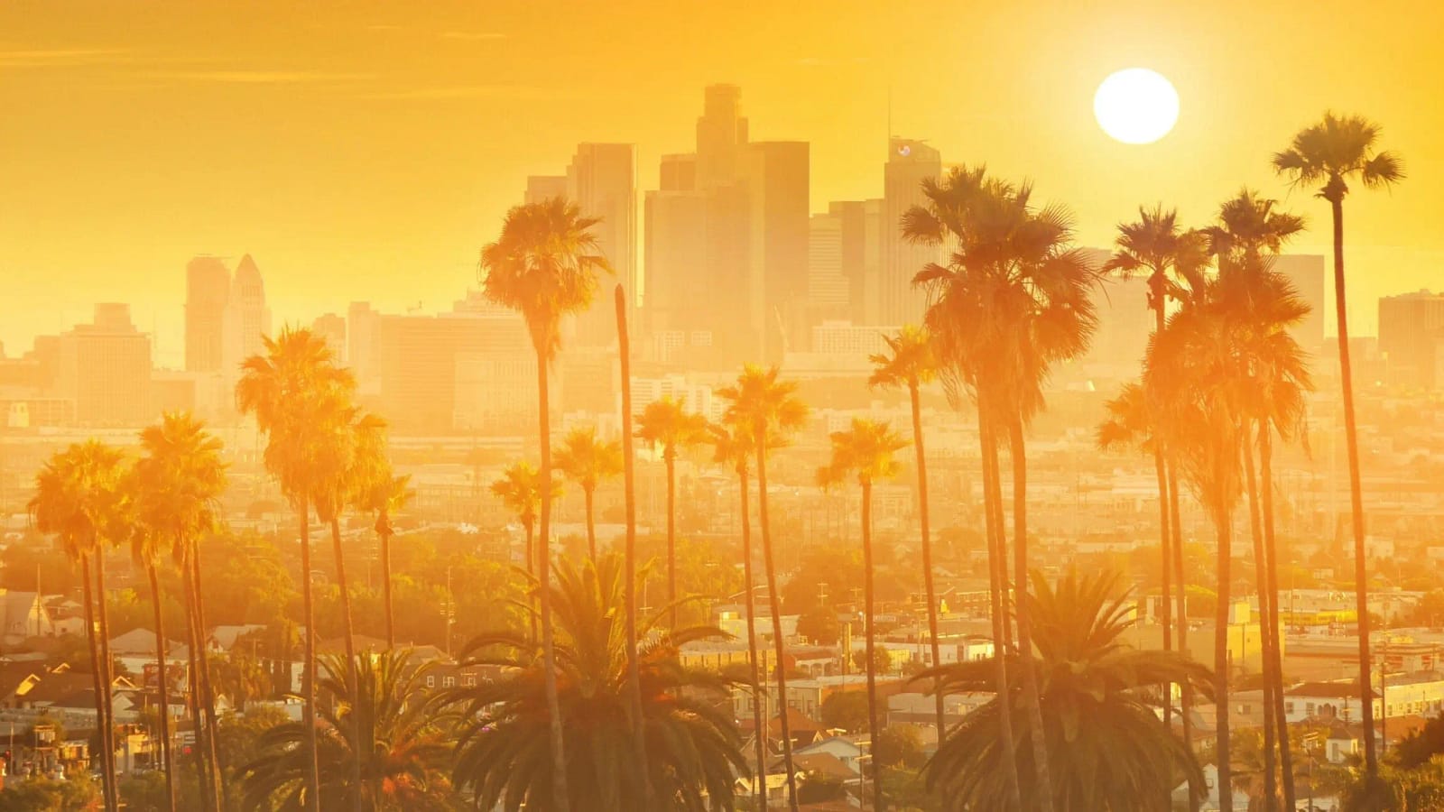 header-bg