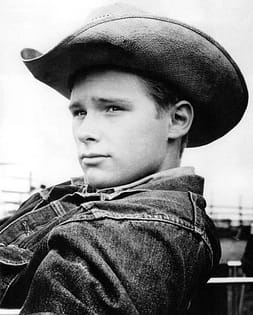 Brandon de Wilde