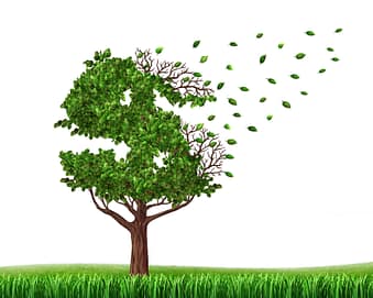 Factors That Can Affect Your Injury Accident Claim 3 Green tree in the shape of a dollar sign with leaves falling off as an icon of wealth loss due to lost wages
