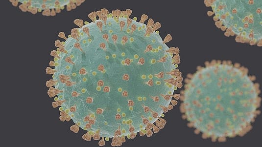 Electron microscope image of the COVID-19 virus