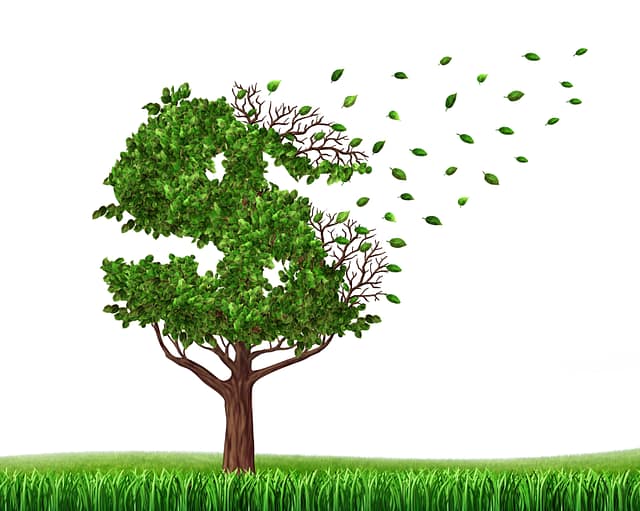 The Multiplier Method: How is Pain and Suffering Calculated? 3 Green tree in the shape of a dollar sign with leaves falling off as an icon of wealth loss due to lost wages