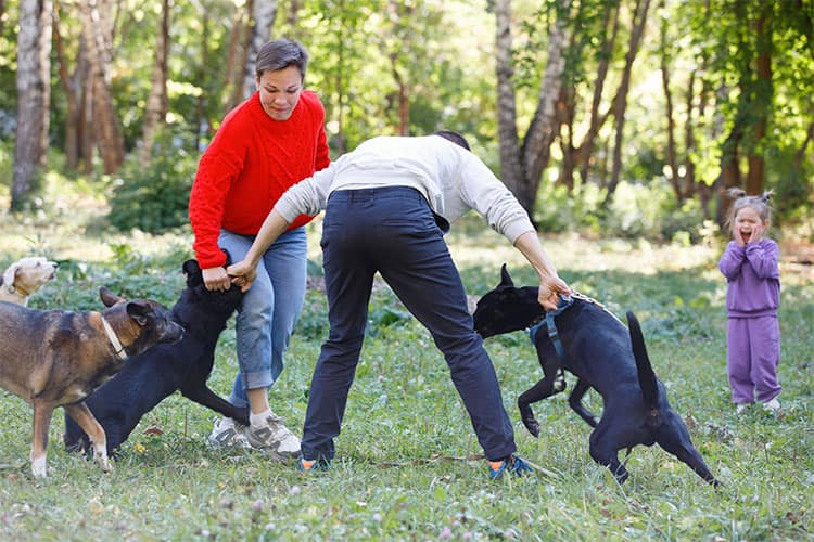 People pulling apart aggressive dogs in a park as a child looks on, illustrating injuries caused by aggressive dogs. Learn about Georgia dog bite laws.
